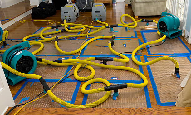 Professional Storm Water Damage Restoration technician working in Williamstown, NJ